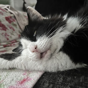 Meet your Posher, Rebecca